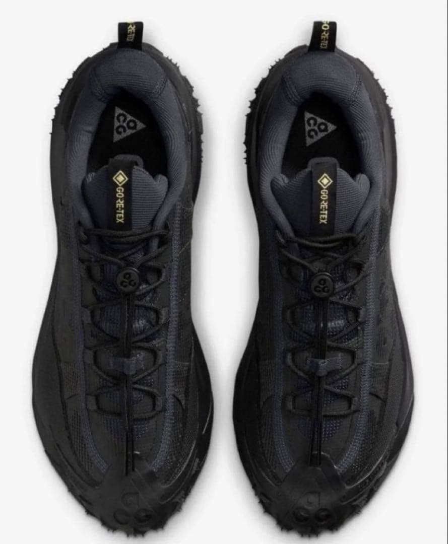 NIKE ACG Mountain Fly 2 Low GTX 28.5㎝