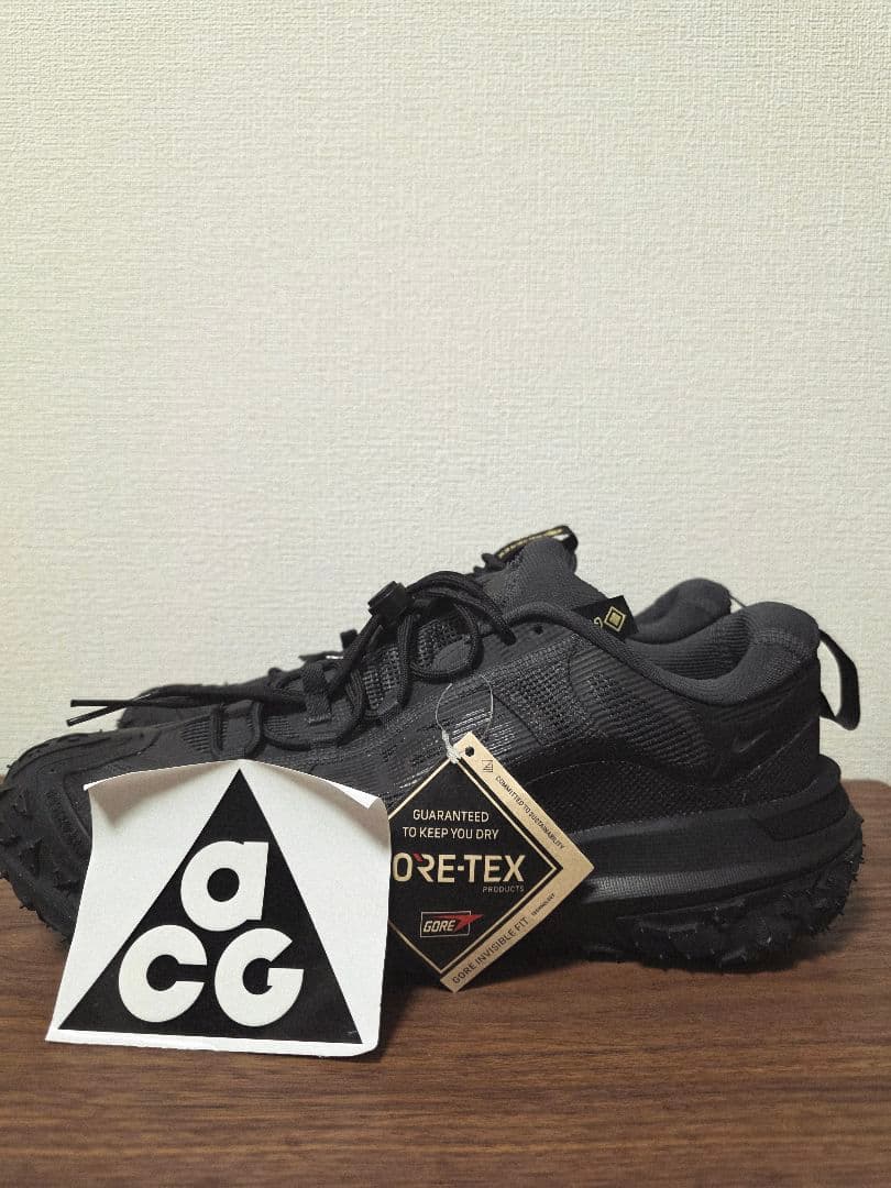 NIKE ACG Mountain Fly 2 Low GTX 28.5㎝