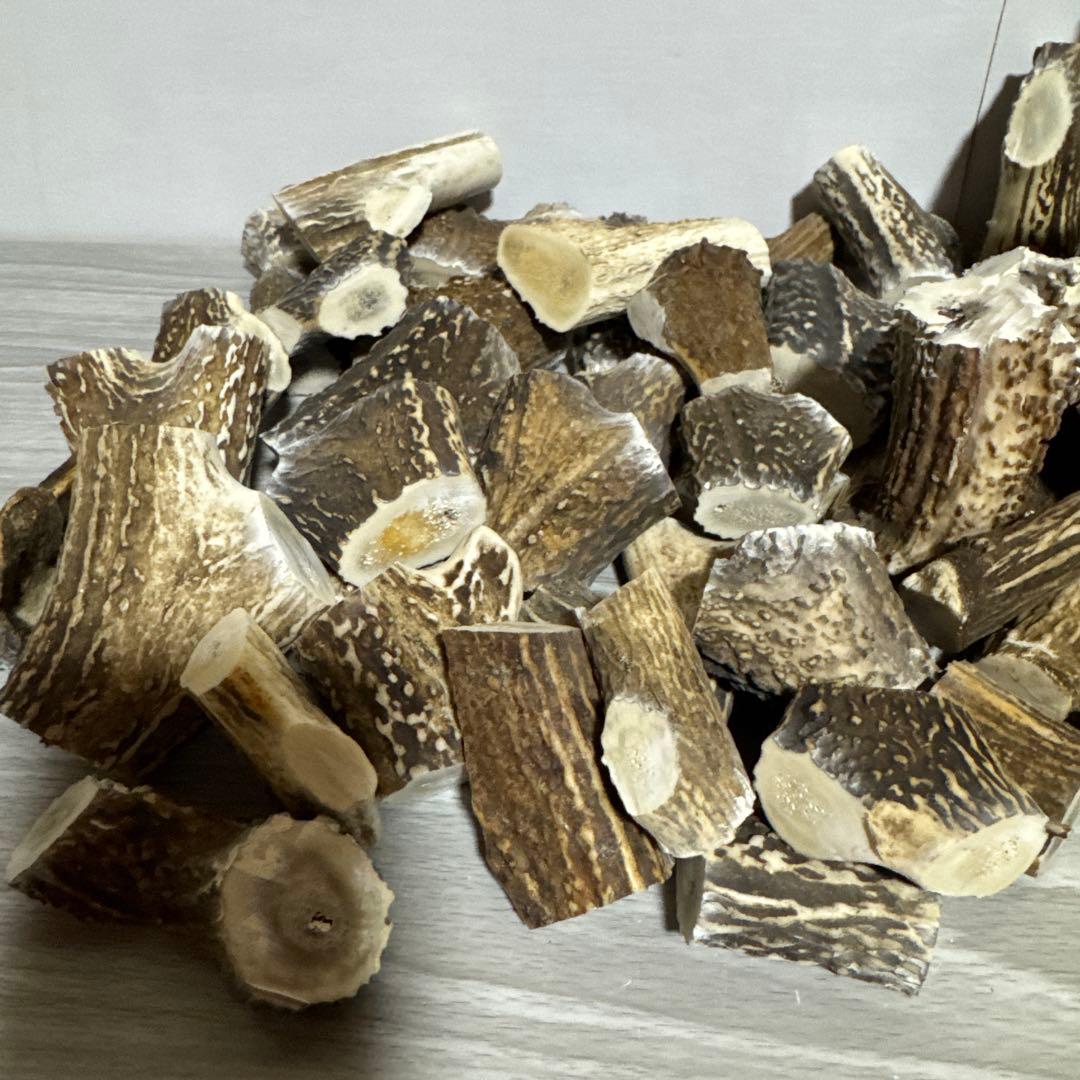 鹿の角　端材Ａ　ハンドメイド用