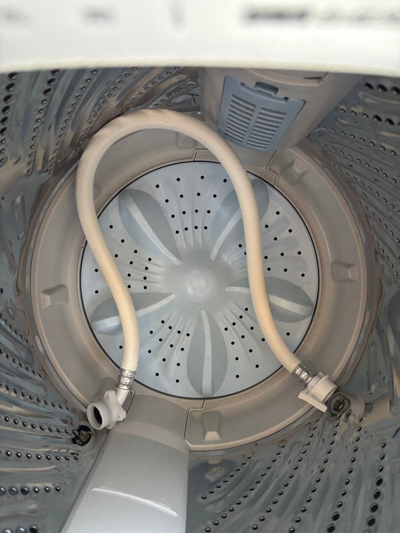 Hisense 洗濯機 HW-T55H R-005