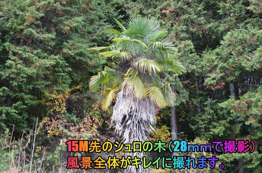 ✨Nikon D7000 28-80mmレンズ付きフルセット　初心者～中級者向け