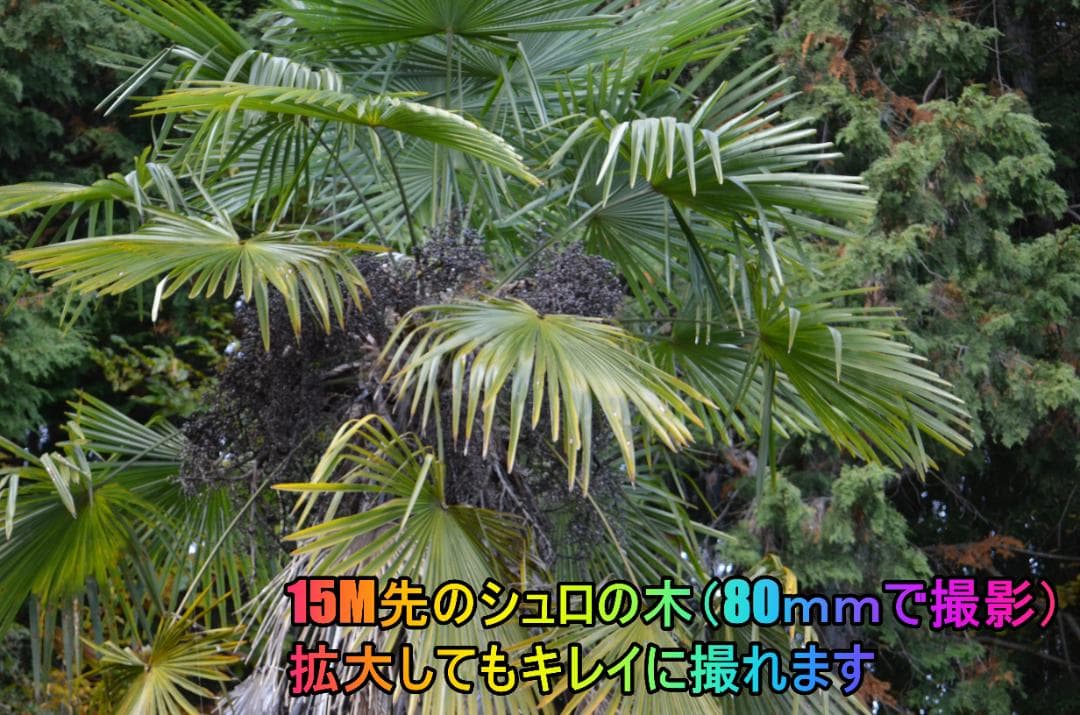 ✨Nikon D7000 28-80mmレンズ付きフルセット　初心者～中級者向け