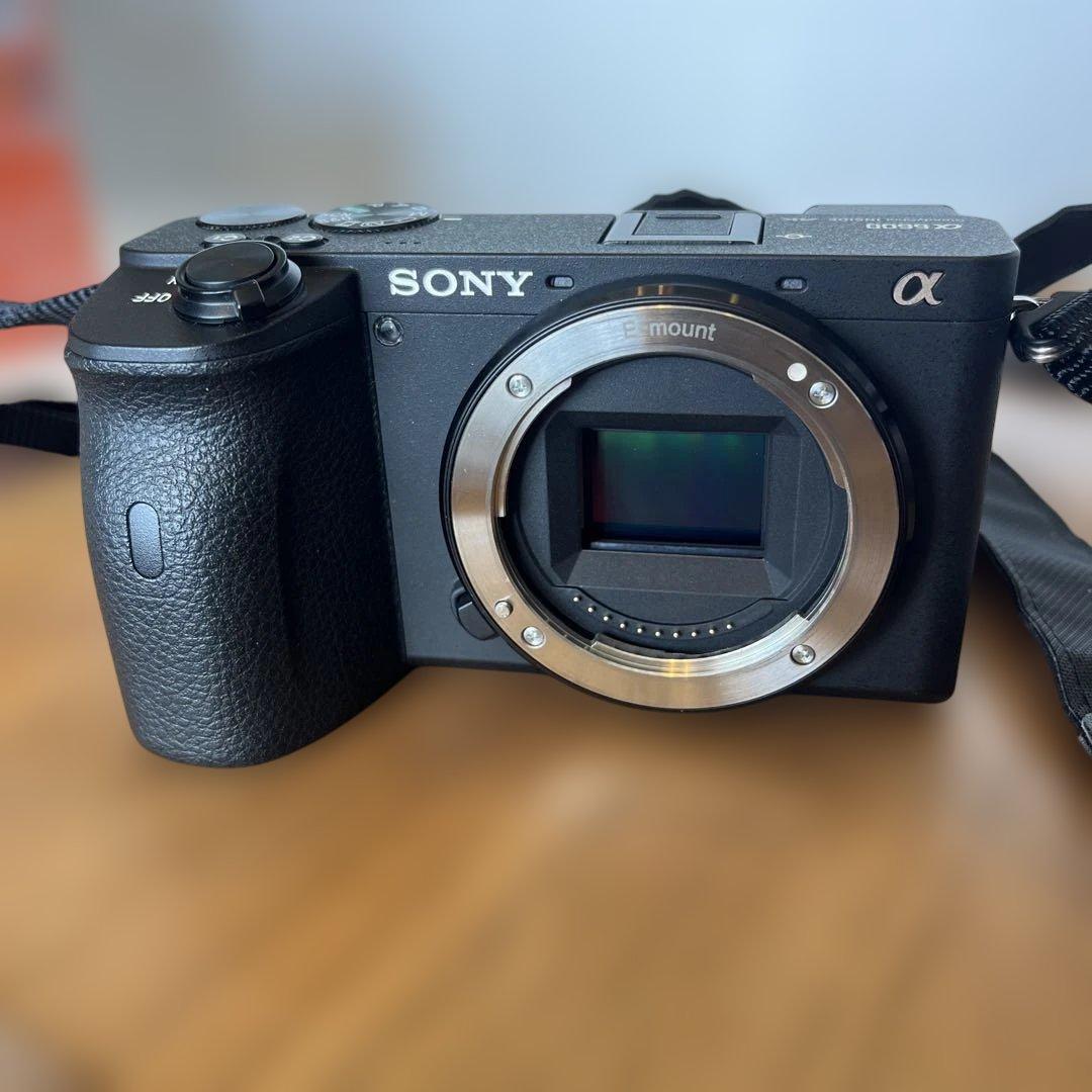 【美品】SONY α6600 ilce-a6600 ボディ 本体　撮影ガイド付