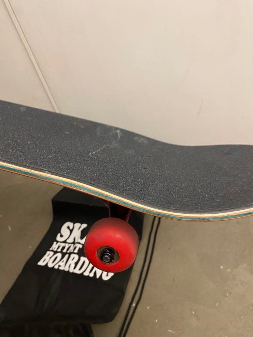 む*様 Santa Cruz スケートボード コンプリート スケボー サンタクル