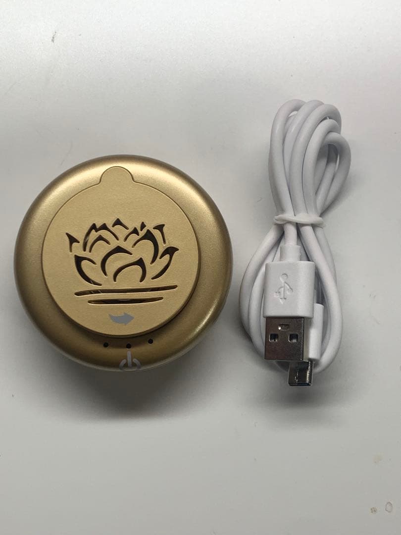 沈香 伽羅 香木 USB電気 香炉+伽羅小粒10g