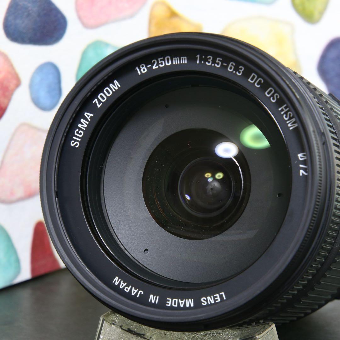 ♥︎◇フルセット ◇SIGMA 18-250mm OS Nikon