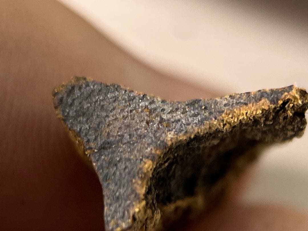 お香 天然沈香 六国五味聞香用 伽羅 香木 4-S-10.255