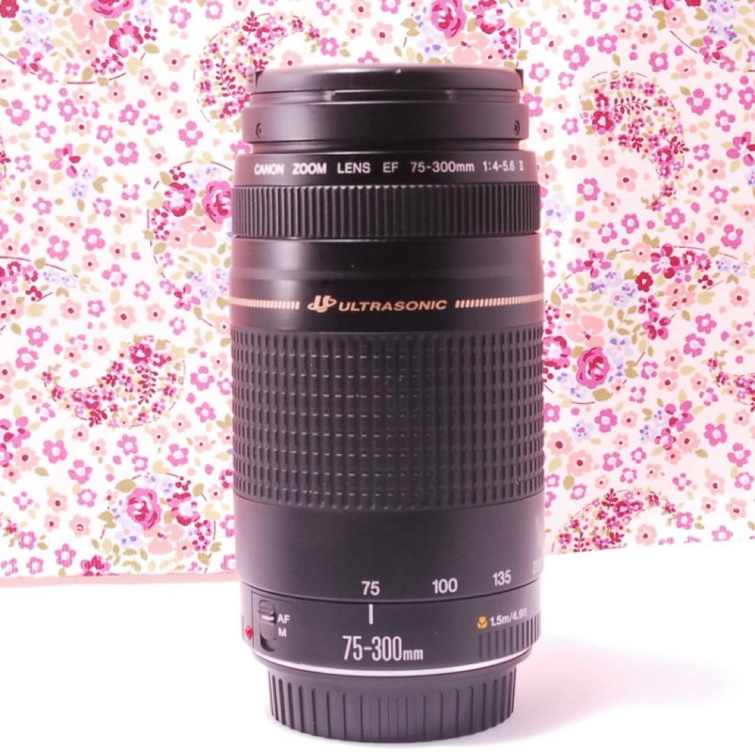 【超美品】キャノン Canon 75-300mm☆超望遠レンズ☆フルサイズ機対応