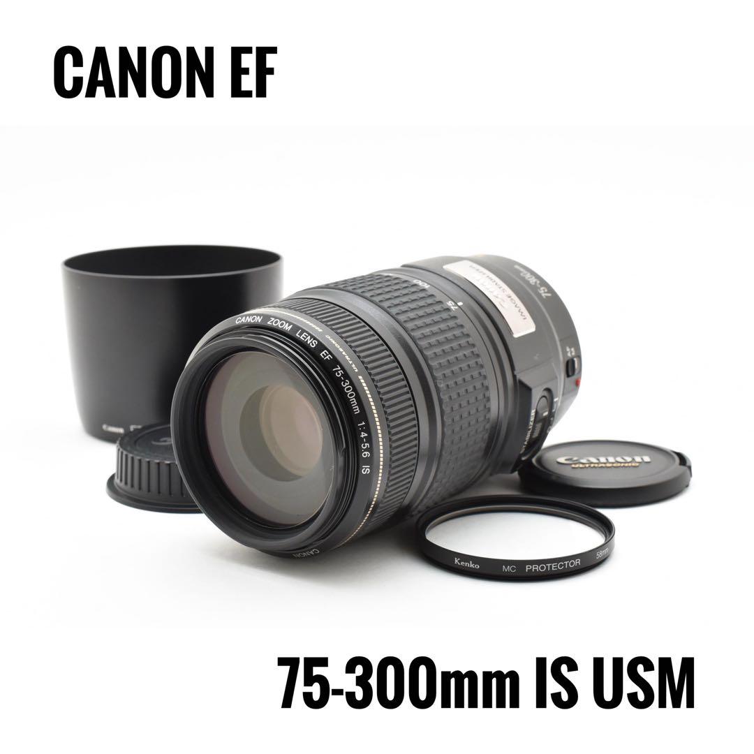 【美品】キヤノン CANON EF 75-300mm IS USM