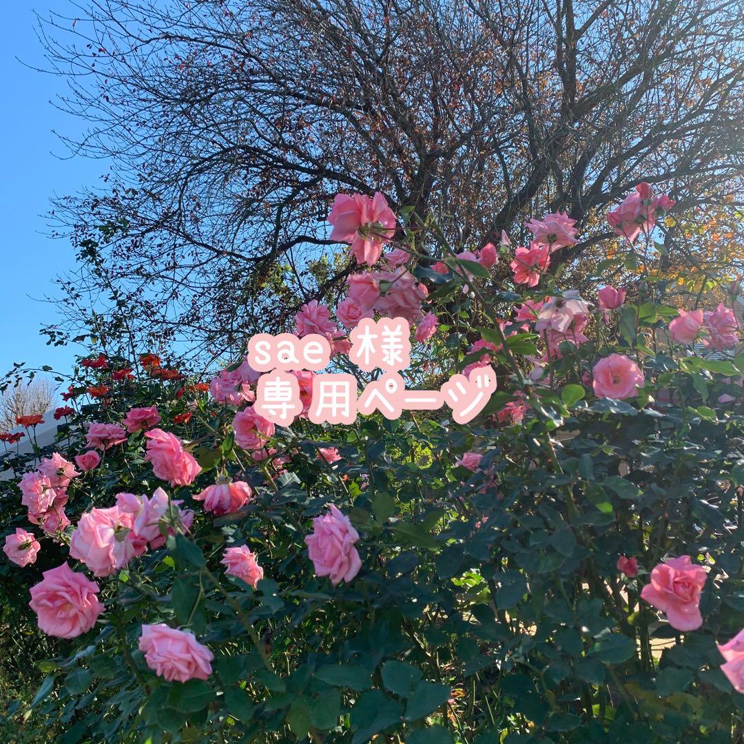 6974アンティークピアスイヤリングゴールド大ぶりフラワーシフォン淡水パールお花