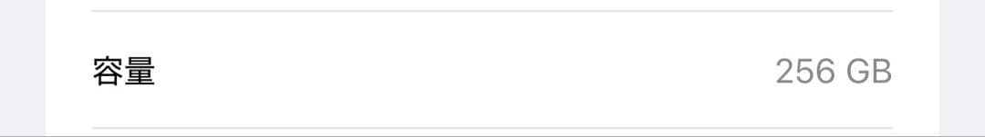 黒*ん様購入予定　iPhone15Plus ブルー
