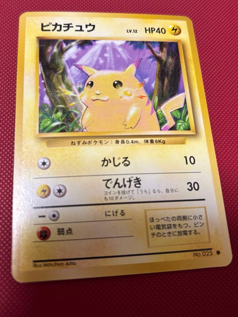 旧裏　ピカチュウ かじる