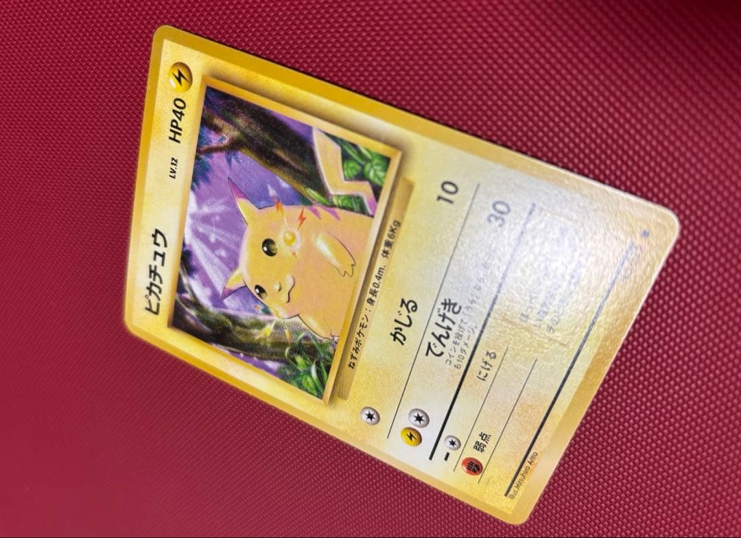 旧裏　ピカチュウ かじる