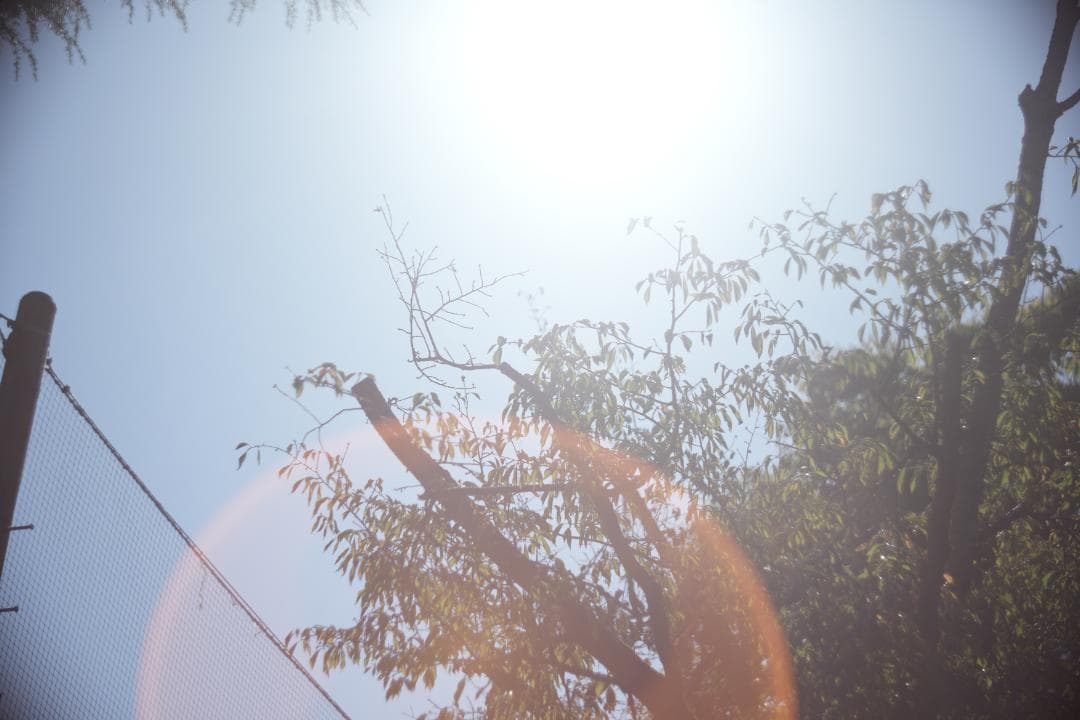 KMZ PO-2-2M 75mm f2 ライカM改 虹ゴースト グルグルボケ