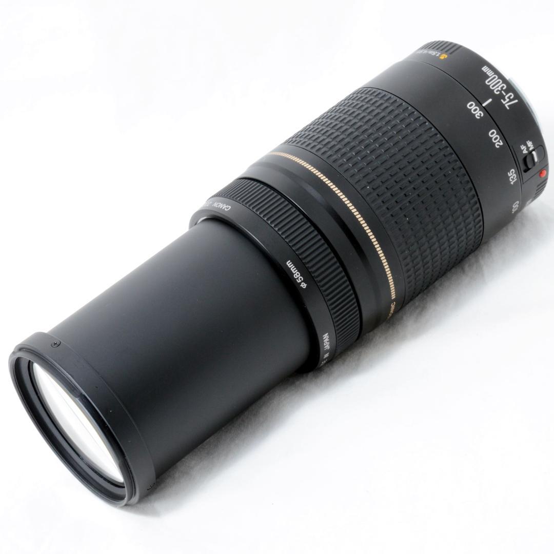 ⭐️良品⭐️Canon キャノン EF 75-300mm F4-5.6 ⅡUSM