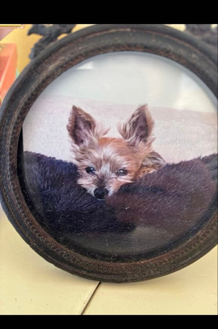 ちゃちゃ様 うちの子刺繍