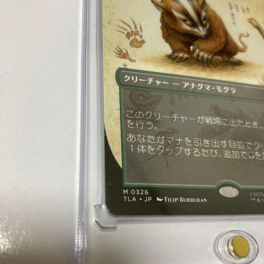 c*l様 MTG アナグマモグラの仔/Badgermole Cub ボーダーレス