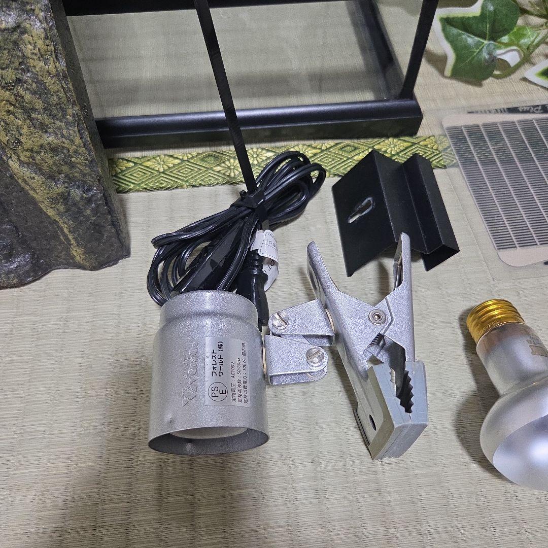 ぴっぴ GEX エキゾテラ グラステラリウム3045 一式セット