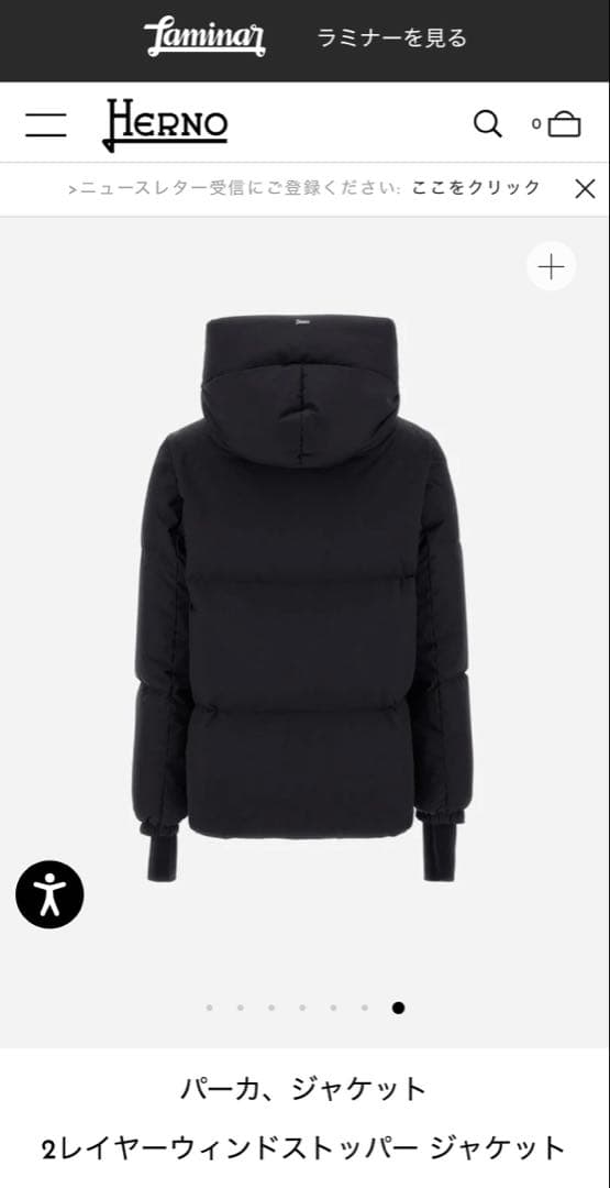 ヘルノ　ラミナー　CAPE ダウンジャケット　GORE-TEX 40