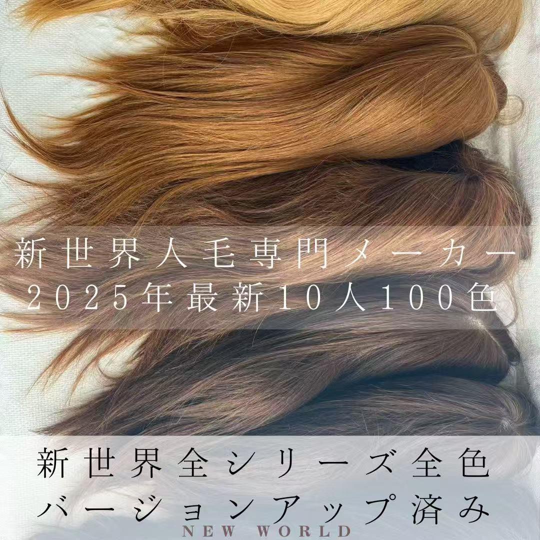新世界プレミア真皮シリーズ★全人毛　ヘアピース　ウィッグ15*17総手植え45㌢