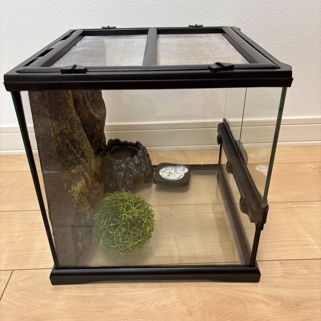 【プロフ必読】グラステラリウム3030とその他付随品のセット