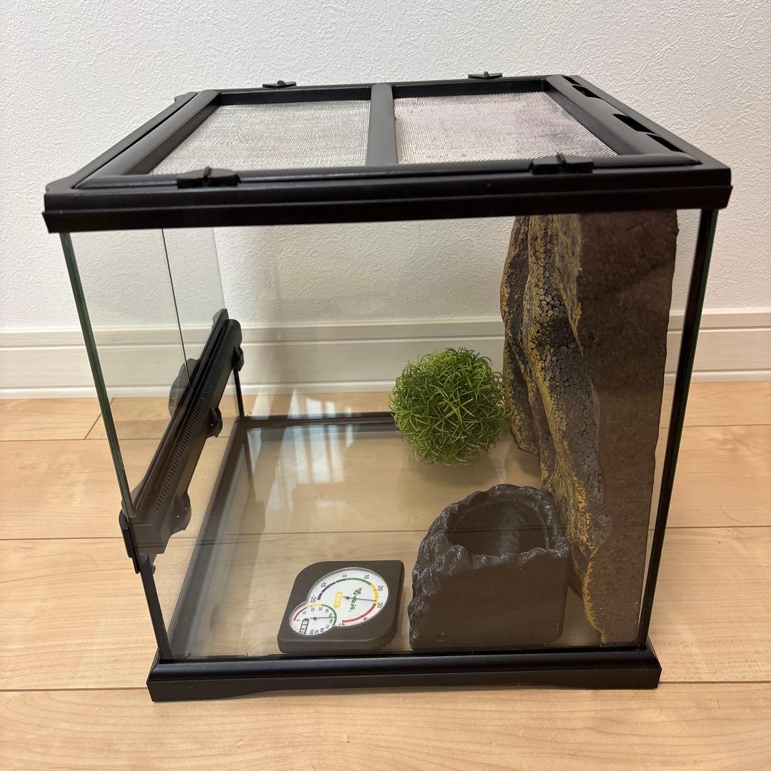 【プロフ必読】グラステラリウム3030とその他付随品のセット