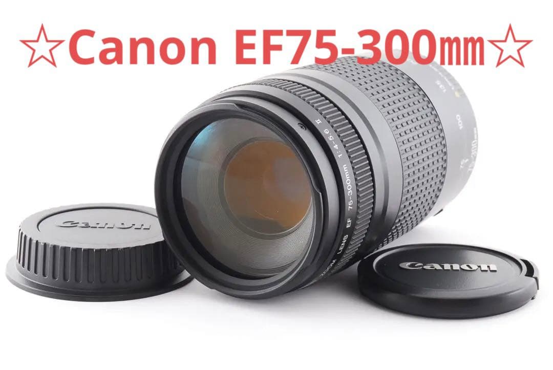 動作好調 キャノン CANON EF 75-300mm F4-5.6 Ⅱ