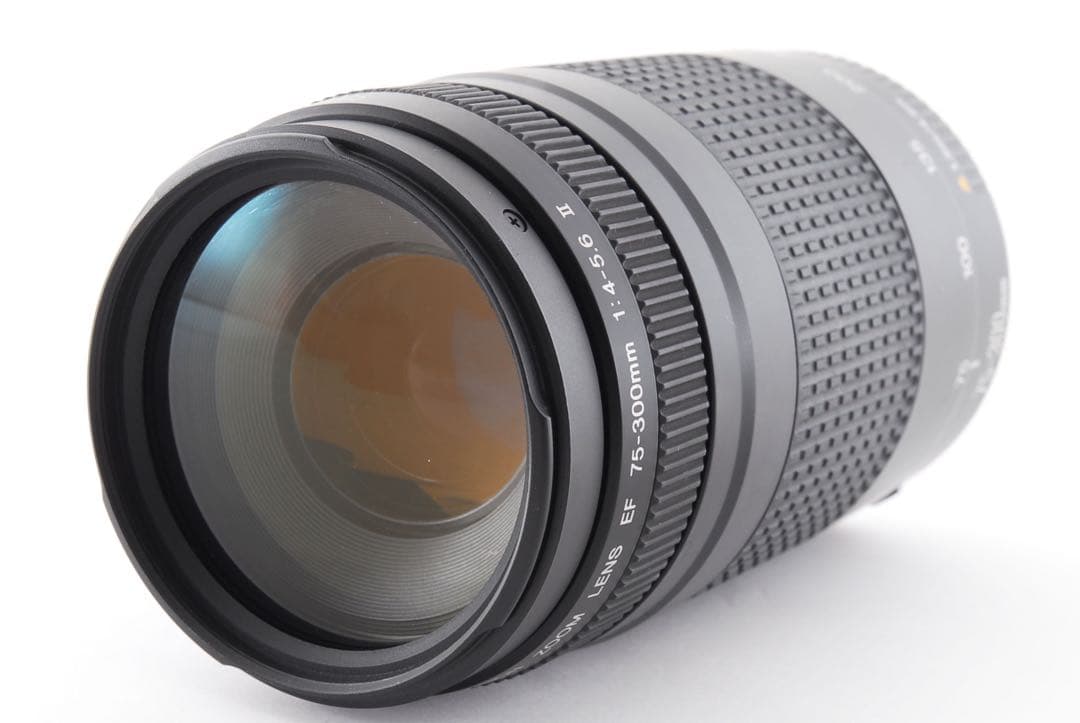 動作好調 キャノン CANON EF 75-300mm F4-5.6 Ⅱ