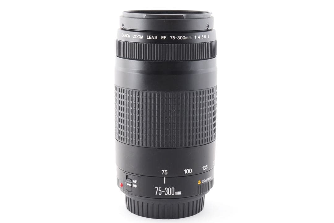 動作好調 キャノン CANON EF 75-300mm F4-5.6 Ⅱ