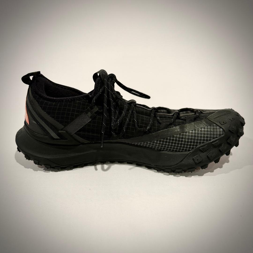 NIKE ACG マウンテンフライロー “アンスライト” US12