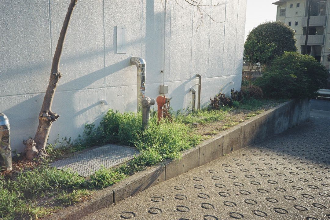 【撮影済み】MINOLTA X-500 フィルム一眼レフ　レンズセット