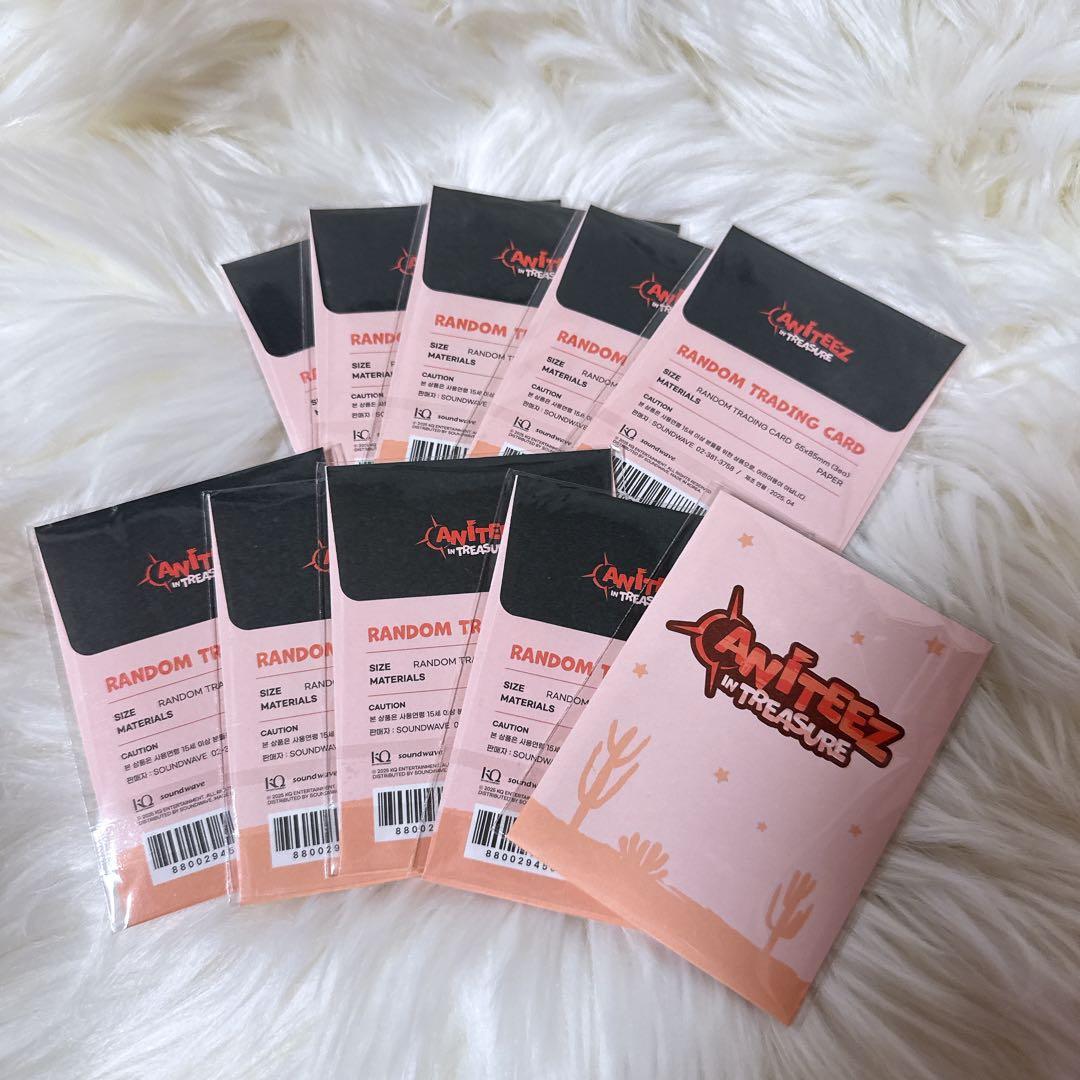 ANITEEZ TREASURE ラントレ 10セット