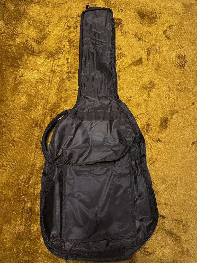 最終値下げ⭐︎生産終了品⭐︎エレアコ♪ARIA FET-STD BLS