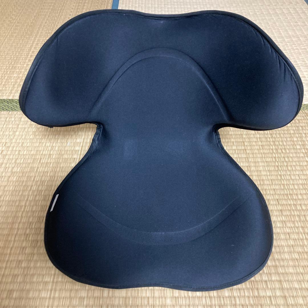 Style SMART MTG 姿勢矯正 骨盤サポートチェア 座椅子　ブラック