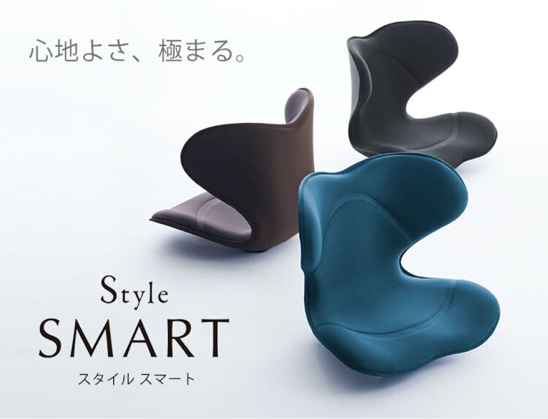 Style SMART MTG 姿勢矯正 骨盤サポートチェア 座椅子　ブラック