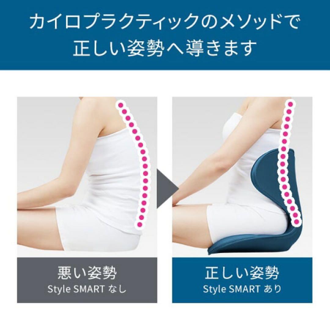 Style SMART MTG 姿勢矯正 骨盤サポートチェア 座椅子　ブラック
