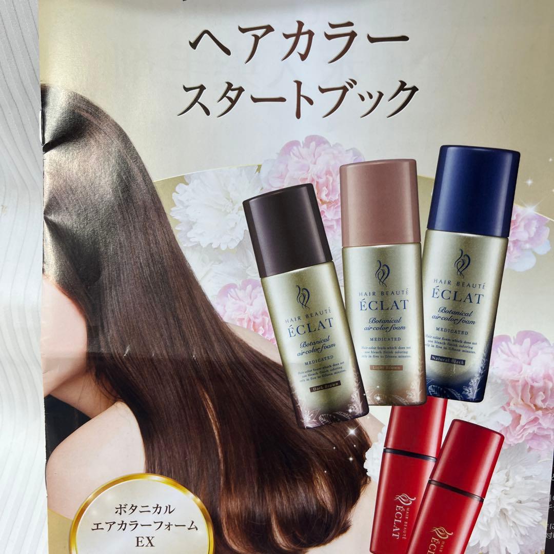 ヘアボーテ　エクラボタニカルヘアカラーフォームEXダークブラウン3本