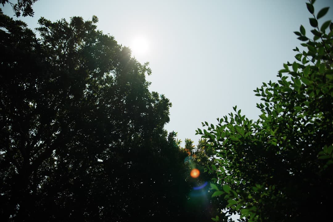 極美品 タムロン 28-75mm F2.8 マクロ ニコンF 標準ズーム