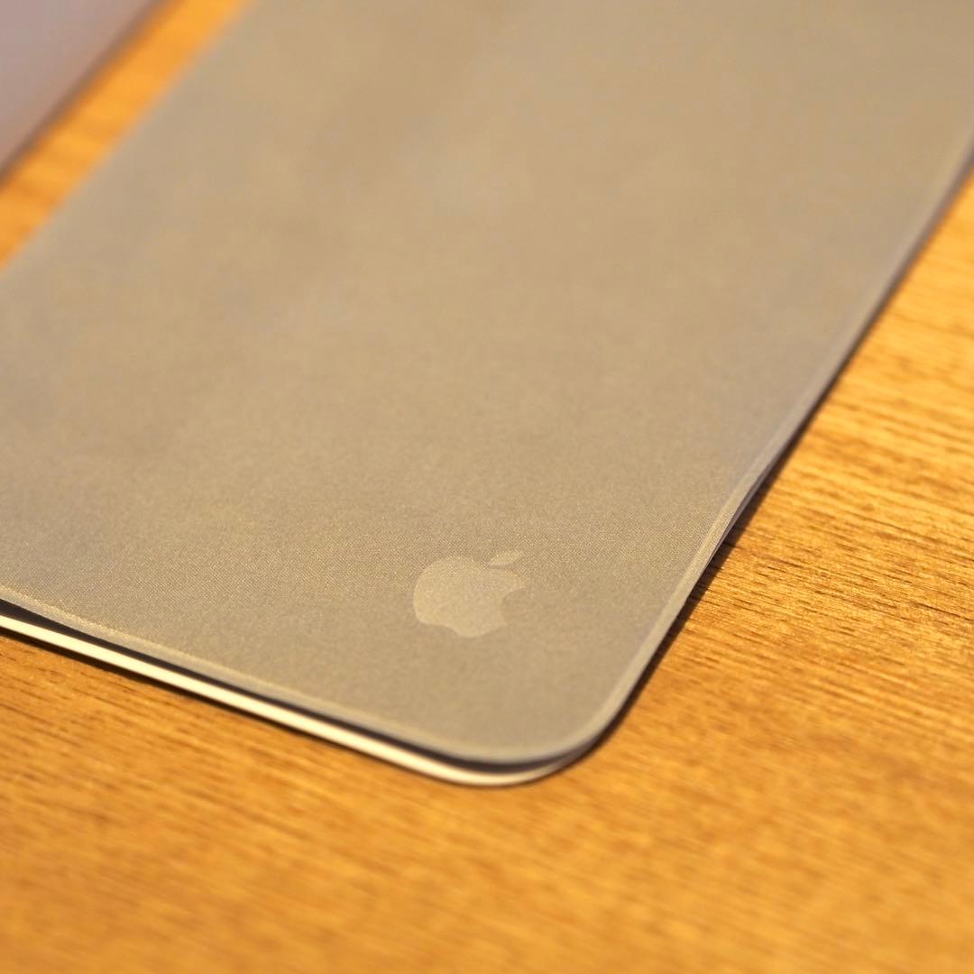 iPad Pro M4 1TB 11インチWi-Fi+Cellular Nano