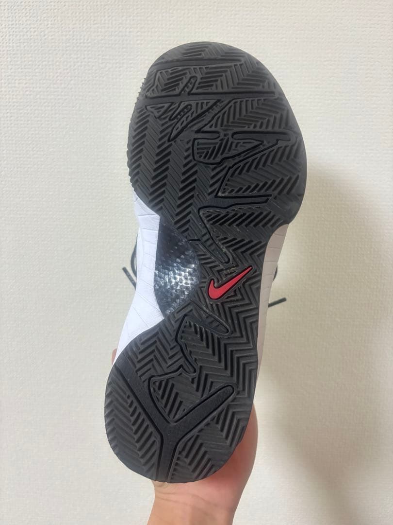 シューズ(男性用) Nike Kobe4 protro Mambacita