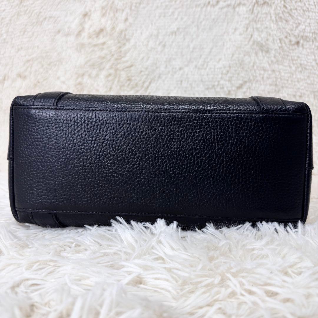 ペッレモルビダ テーラマリーナ ミニトート ハンドバッグ レザー シボ革 黒 青