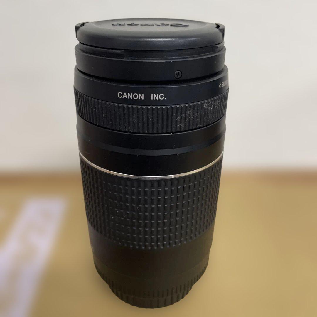 Canon EF 75-300mm f/4-5.6 ズームレンズ