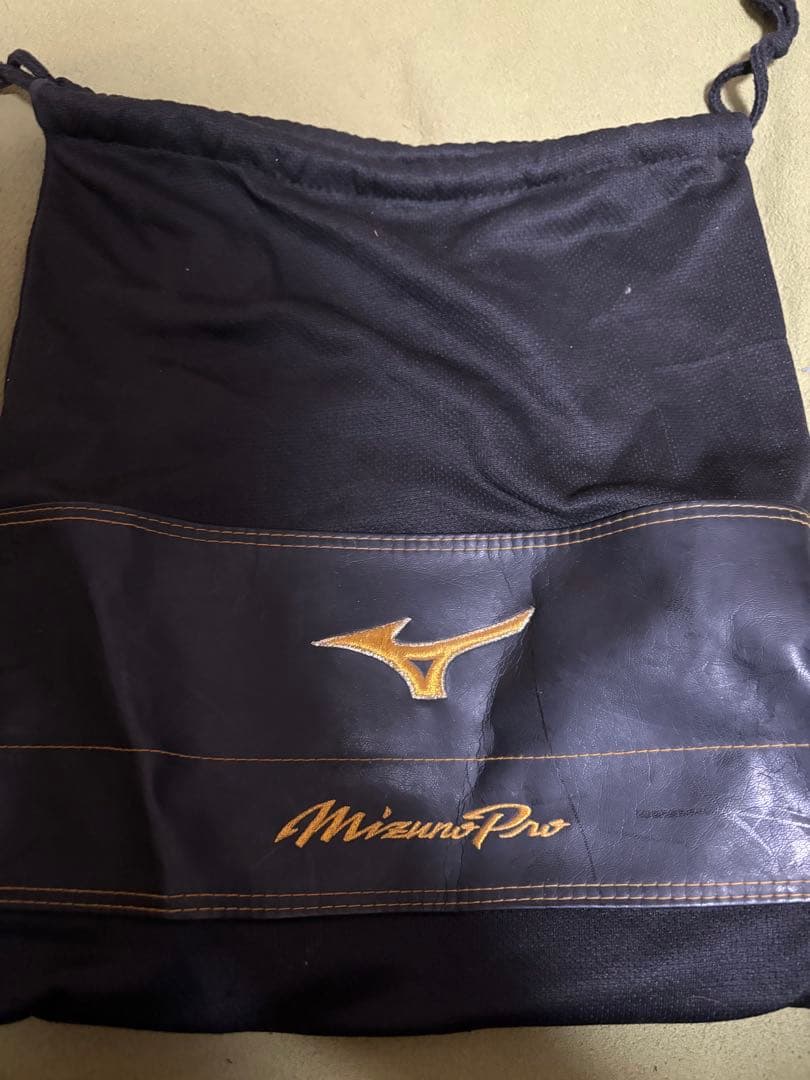 Mizuno Pro 硬式グローブ 茶色 専用バッグ付き