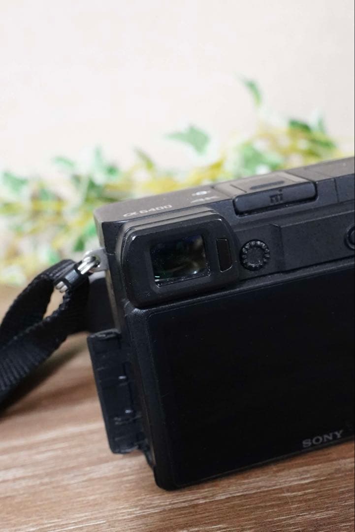 α6400 ソニーミラーレス一眼