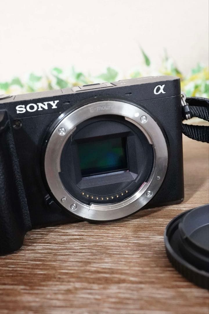 α6400 ソニーミラーレス一眼