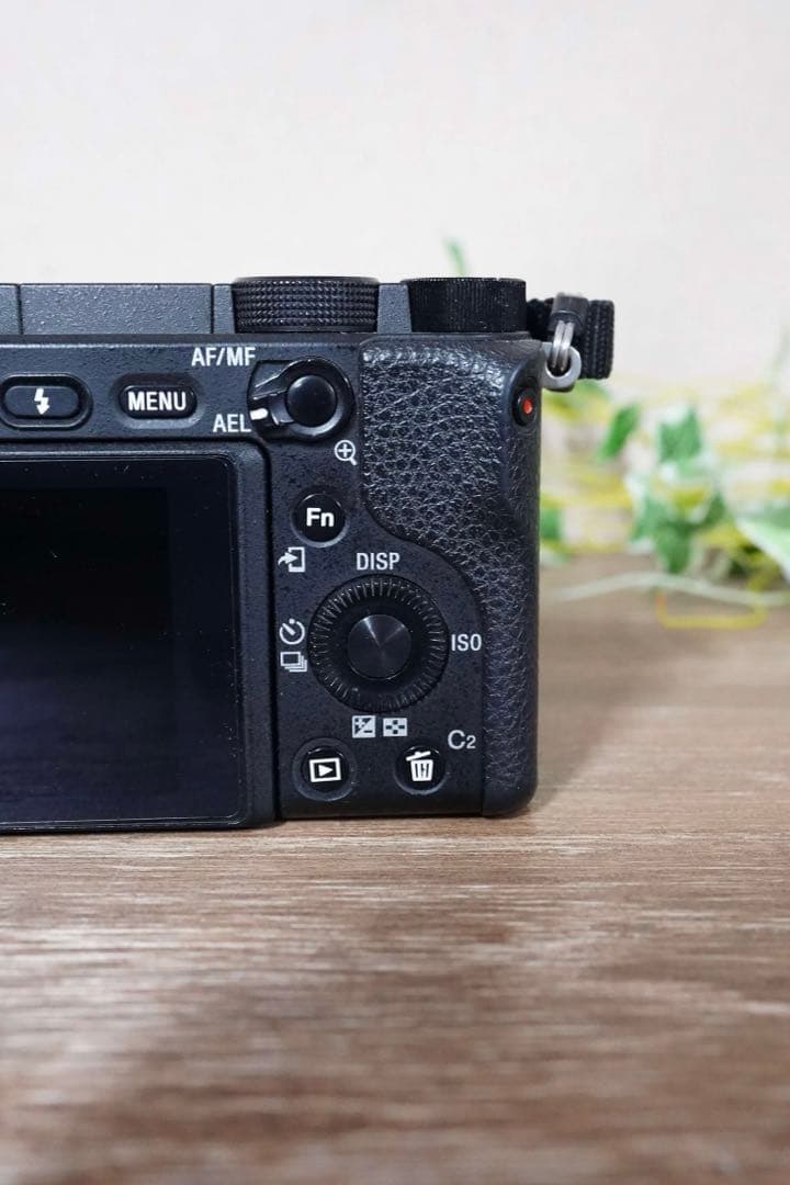 α6400 ソニーミラーレス一眼