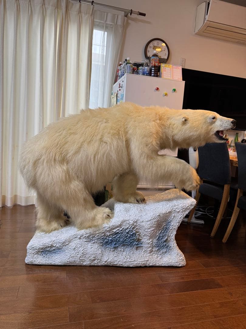 白熊剥製レプリカ