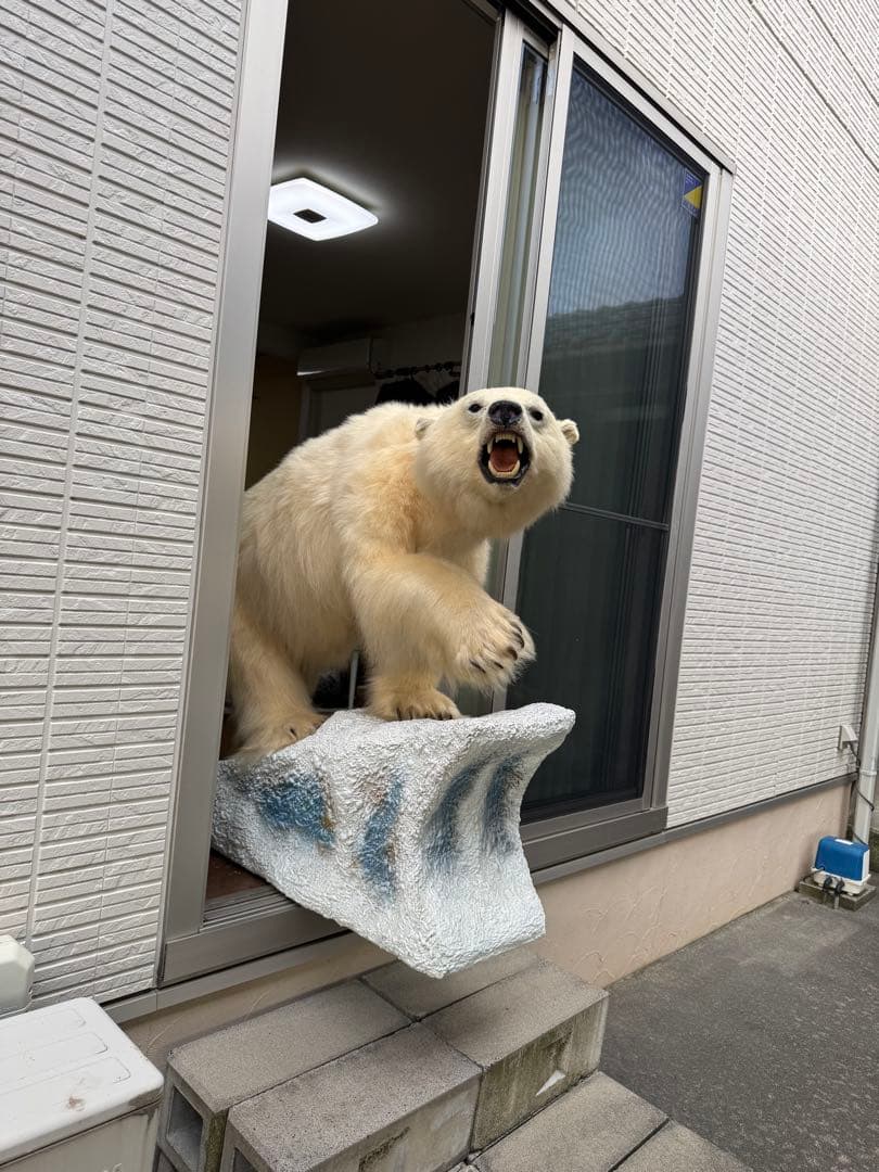 白熊剥製レプリカ