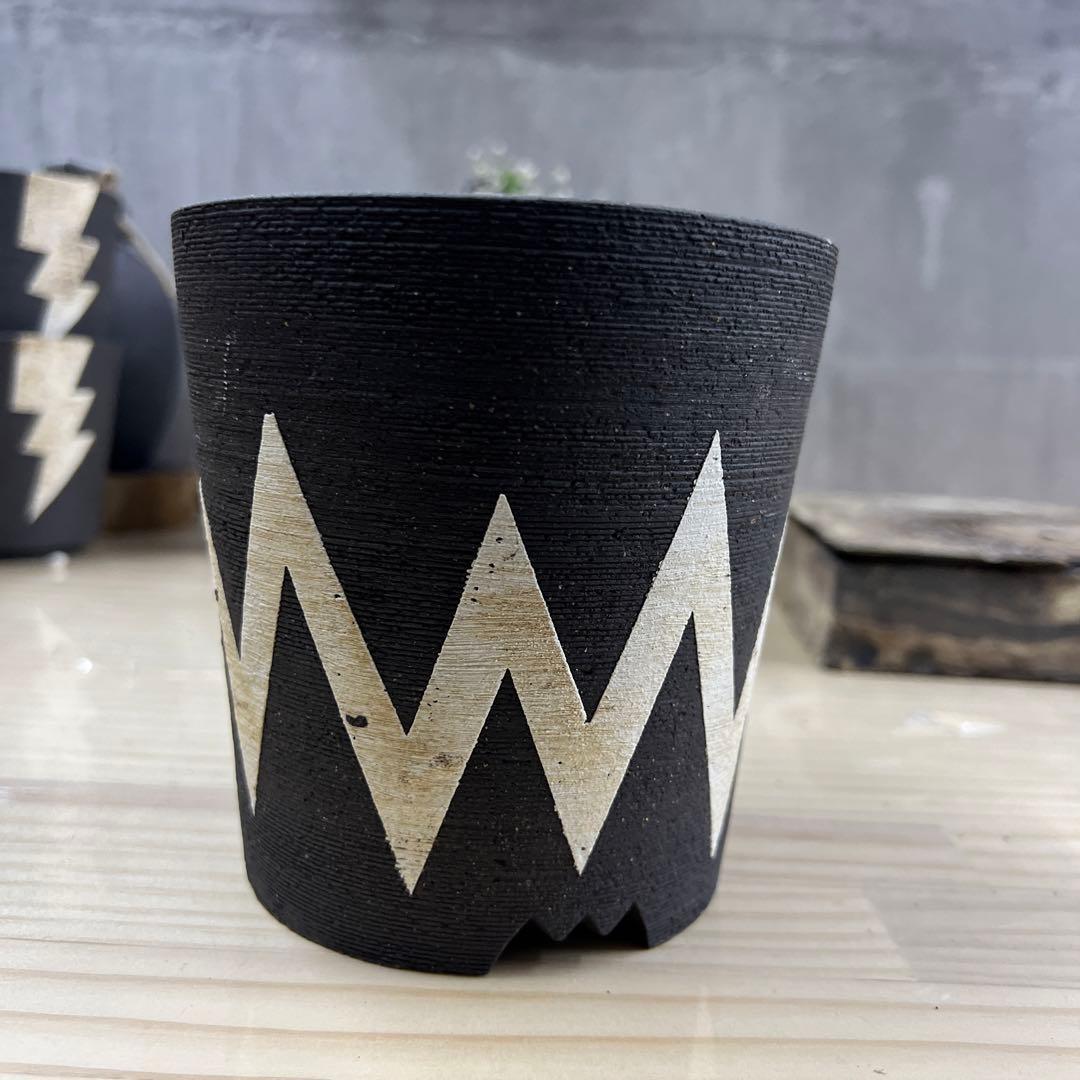 ノイズ 樣手作植木鉢 Mサイズ 2点検（ 塊根植物 グラキリス パキプス