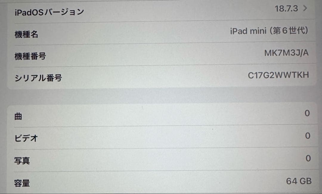 iPad mini 6 スペースグレイ 64GB Wi-Fiモデル iPad